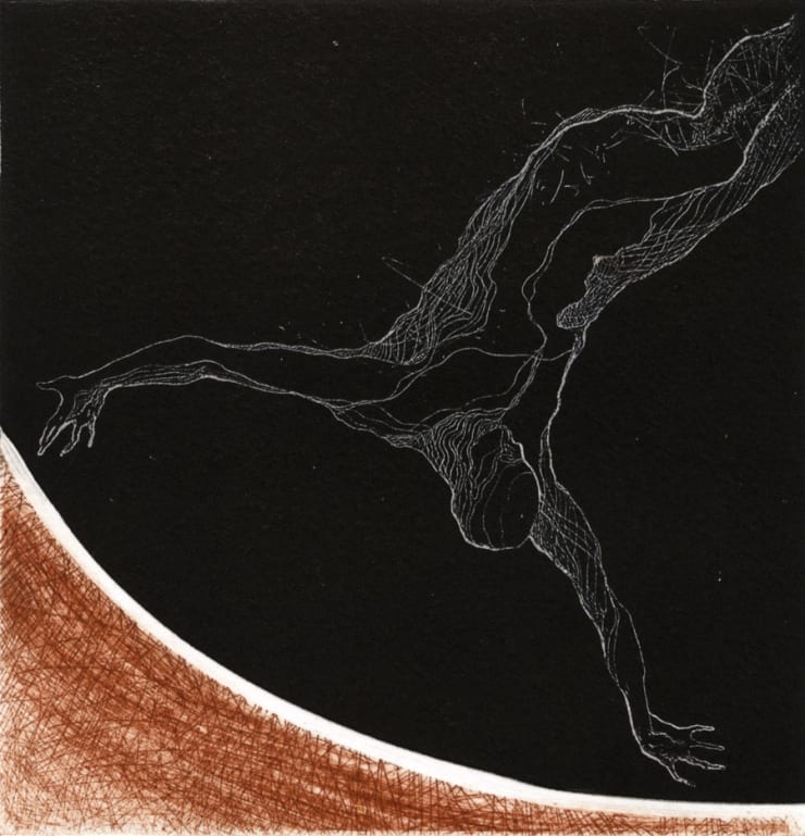 Veta Gorner, Ornithology Plate 3, 2011