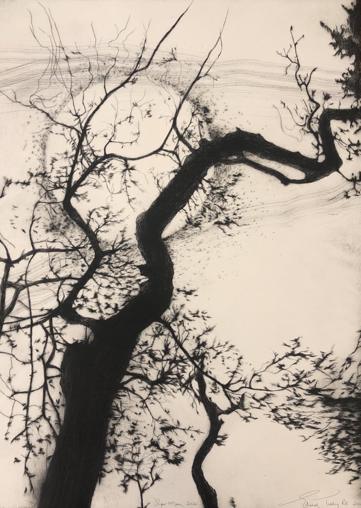 Edward Twohig, Super Moon 1.xiv, 2020