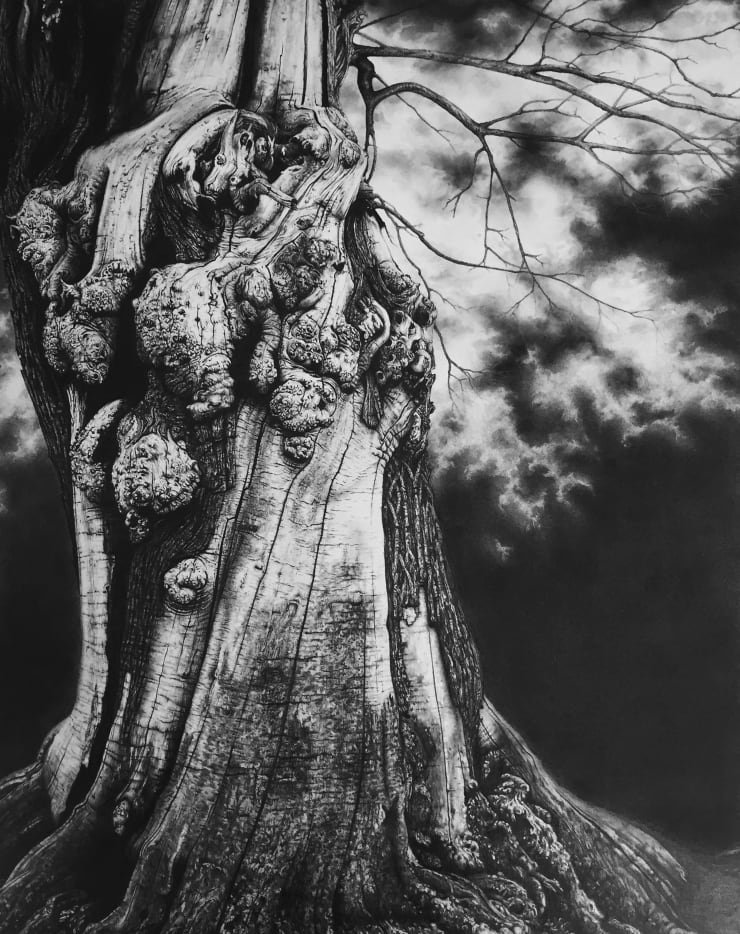 Blaze Cyan Croft Castle Winter, 2016