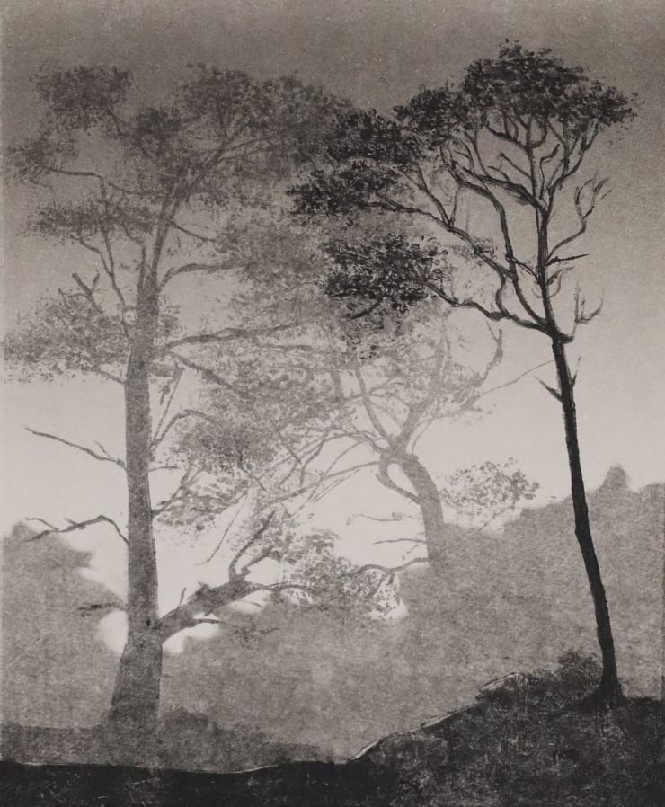 Fiona Fouhy, Slow Ascent, 2024
