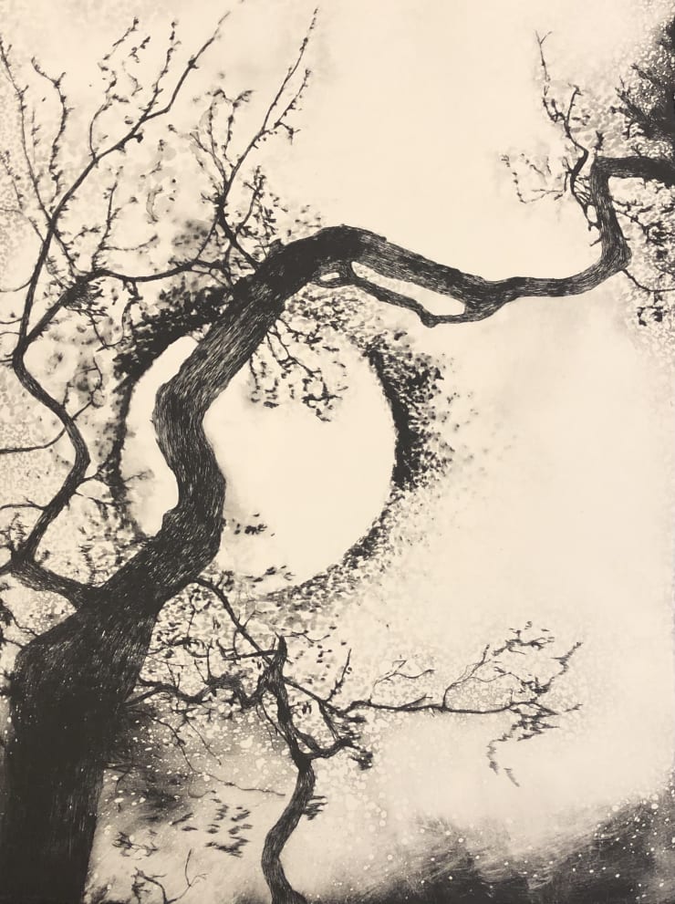 Edward Twohig Super Moon 2.vi, 2020