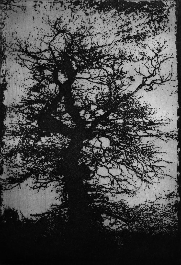 Blaze Cyan Dawn, 2013