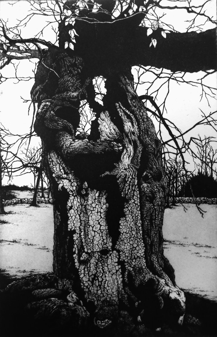 Blaze Cyan, Burnham Beeches, 2018