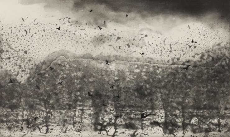 Norman Ackroyd, Arnamurchan, 2006