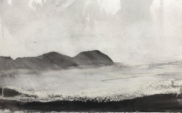 Jason Hicklin, Ynys Bery, Ramsey Island, 2020