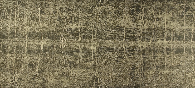 Trevor Price, A Moment of Reflection I