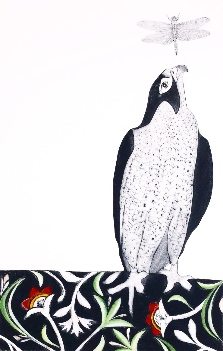 Beatrice Forshall, Amur Falcon