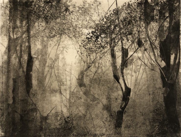 Fiona Fouhy, Treading Carefully, 2021