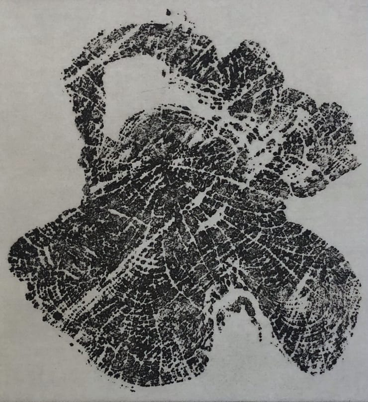 Summer Auction 2021, LOT 46: Blaze Cyan - Larch I, 2013