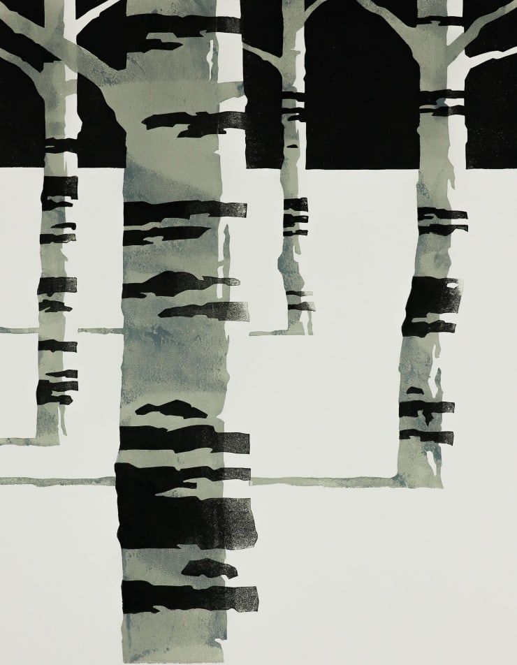 Paul Catherall, Silver Birch, 2025