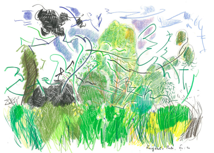 Andrew Marr Regent's Park VII:21, 2021 Coloured pencil
