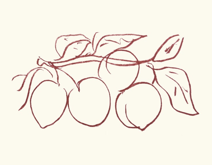 Henri Matisse Plate 25. Florilège des Amours de Ronsard , 1948