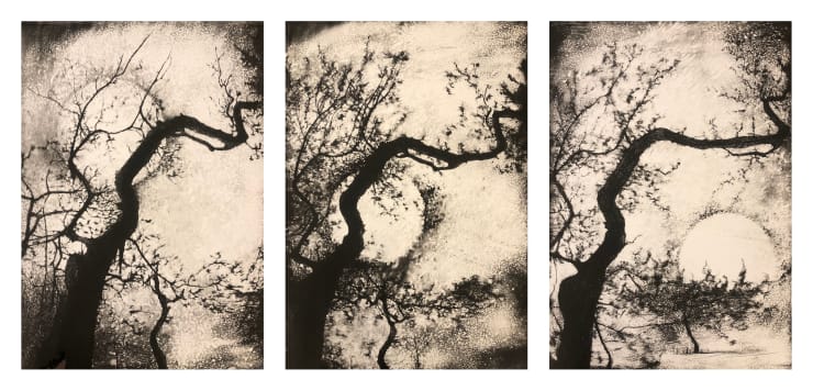 Edward Twohig, Super Moon Triptych (iv), 2020