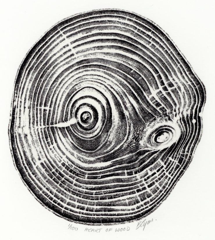 Blaze Cyan, The Heart of the Wood, 2023