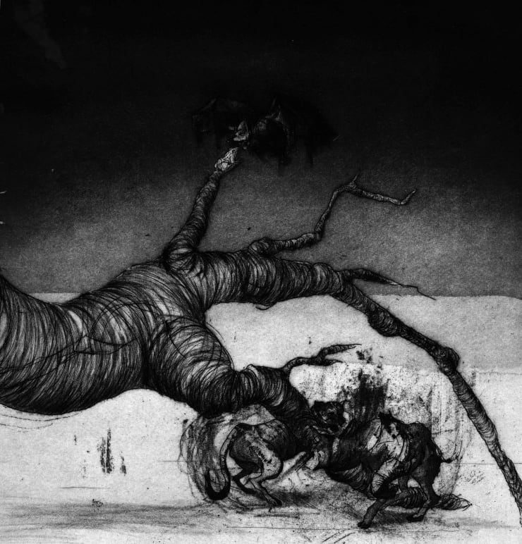 Maite Cascón, The Shadow Tree V, 2017