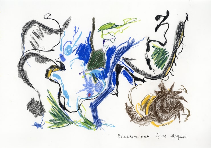 Andrew Marr Bladderwrack IV:22, 2022