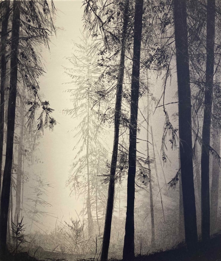 Fiona Fouhy, A Glimmer, 2023