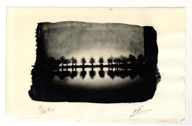 Wayne Foskett, Hampton Court Park, London