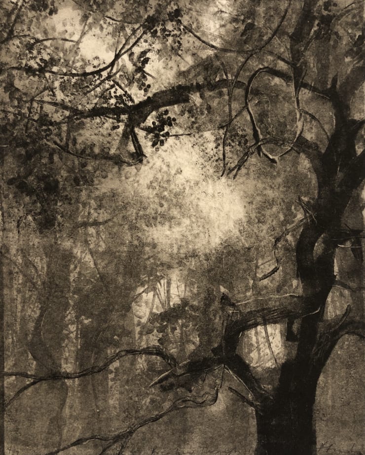 Fiona Fouhy Breaking Through IV, 2021
