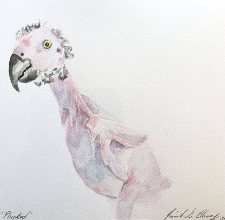 Summer Auction 2021, LOT 33: Niamh Clancy - Plucked, 2021