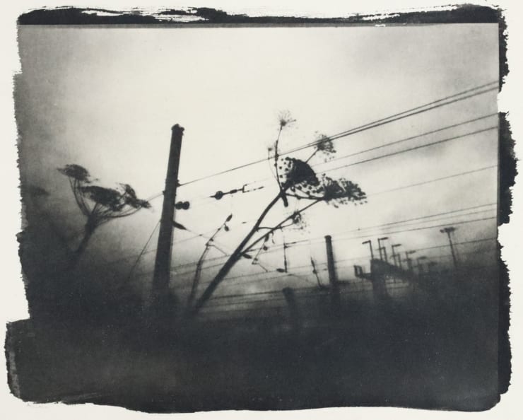 Wayne Foskett, Hackney Marshes, London