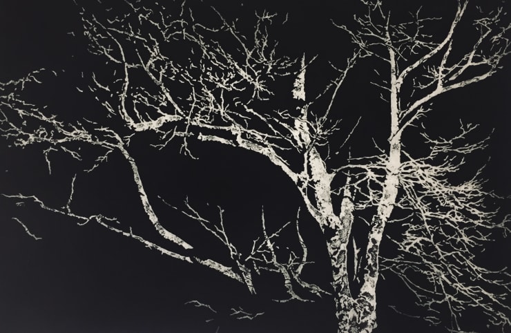 Blaze Cyan, Nocturne I, 2019