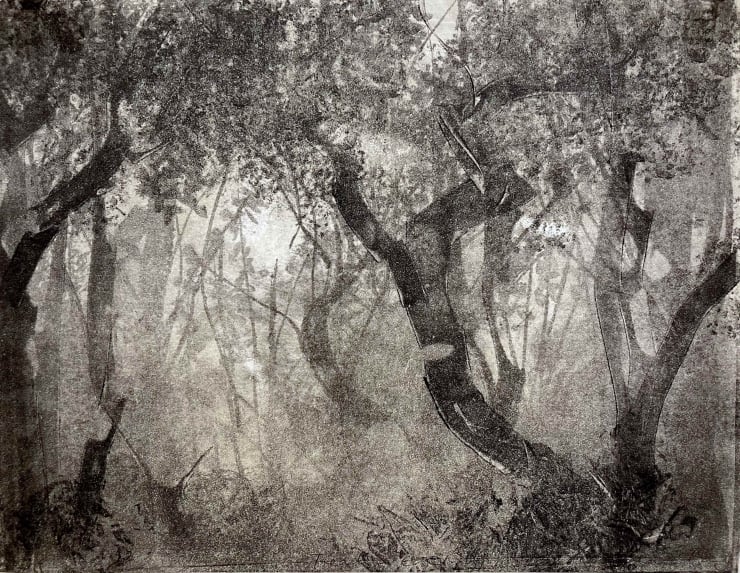 Fiona Fouhy, Treading Carefully I, 2021