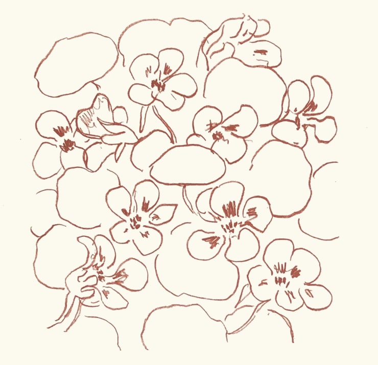 Henri Matisse Plate 127. Florilège des Amours de Ronsard , 1948