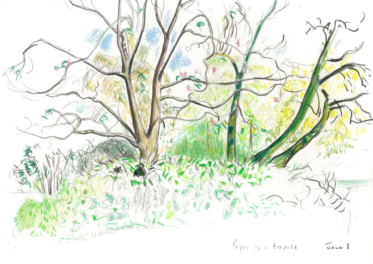 Andrew Marr Paper is a Trapeze June 3, 2021 Coloured pencil
