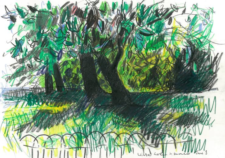 Andrew Marr Winter Garden in Summer June 3, 2021 Coloured pencil