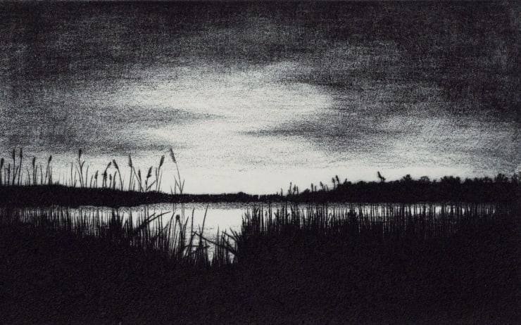 Blaze Cyan, Frensham Ponds II, 2023