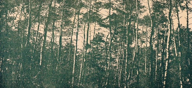 Trevor Price, Whispering Canopy, 2024