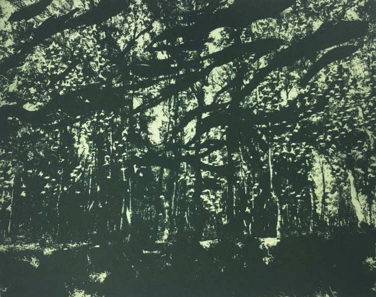 Rebecca Holmes, Dawn In The Forest, 2020