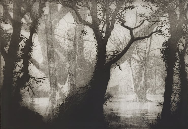 Blaze Cyan, Forest of Ghosts III, 2023