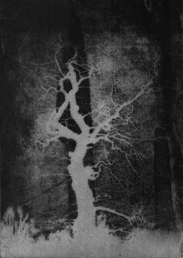 Blaze Cyan Dusk, 2013