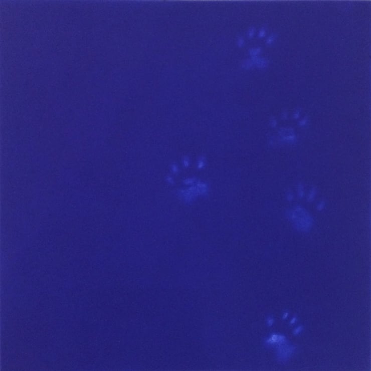 Mychael Barratt Yves Klein's Cat, 2013 Sold out - only available as part of the complete boxed set