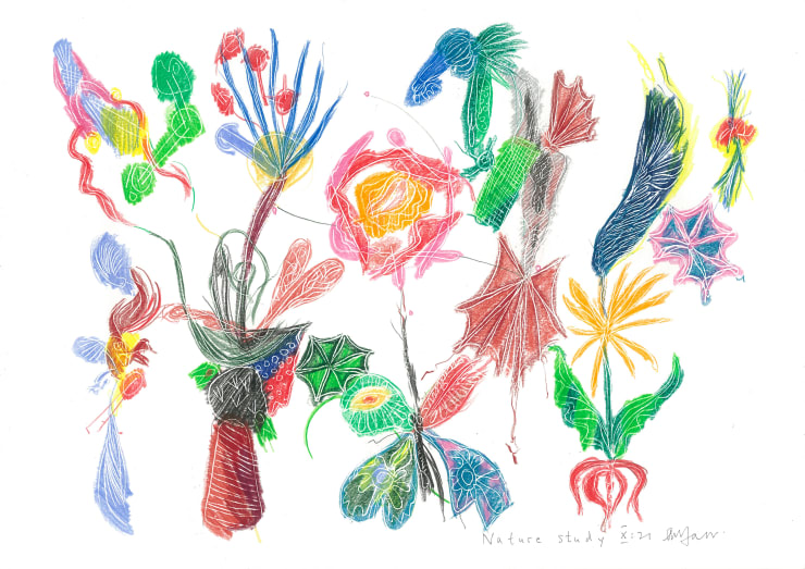 Andrew Marr Nature Study X:21, 2021 Coloured pencil
