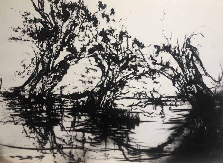 Edward Twohig, Salici al Chiaro di Luna, Bacchigliane Padova, Italia (Willows in Moonlight), 2019