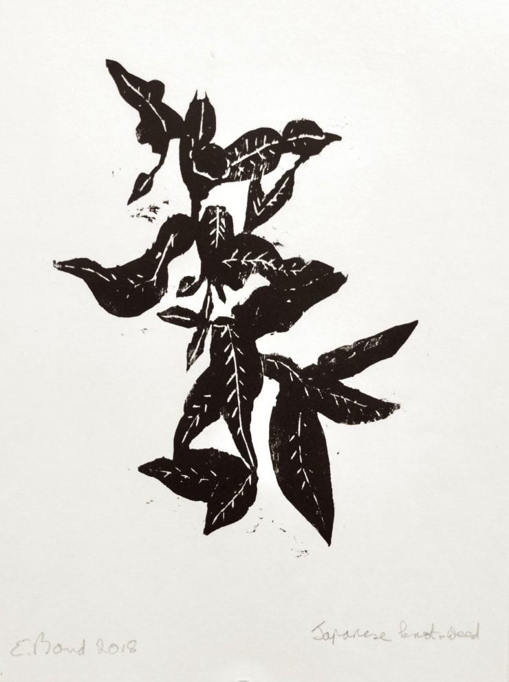 Elisabeth Bond, Japanese Knotweed, 2018