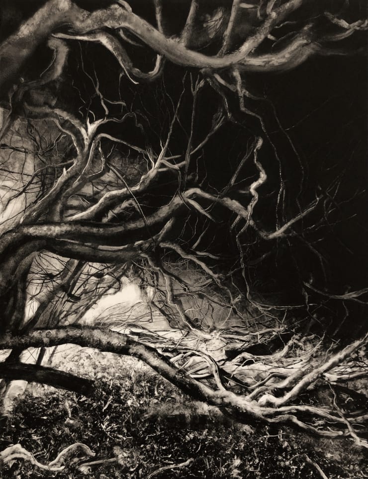 Fiona Fouhy, Entanglement I, 2019