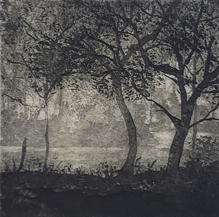 Fiona Fouhy, Epping Clearing, 2024