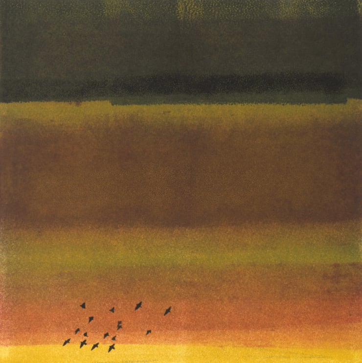 Nigel Swift, Desert Birds, 2021