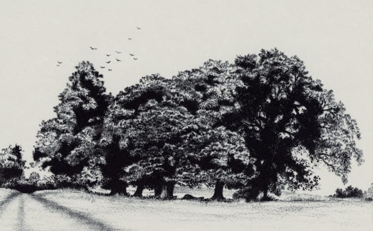 Blaze Cyan, Petworth Park VI, 2023