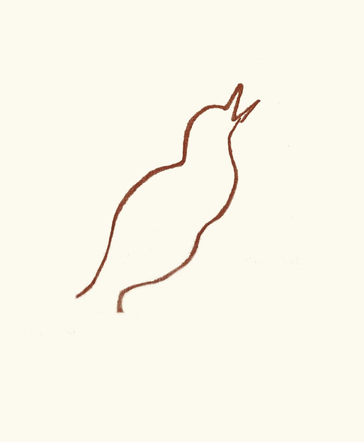 Henri Matisse, Plate 52. Florilège des Amours de Ronsard, 1948