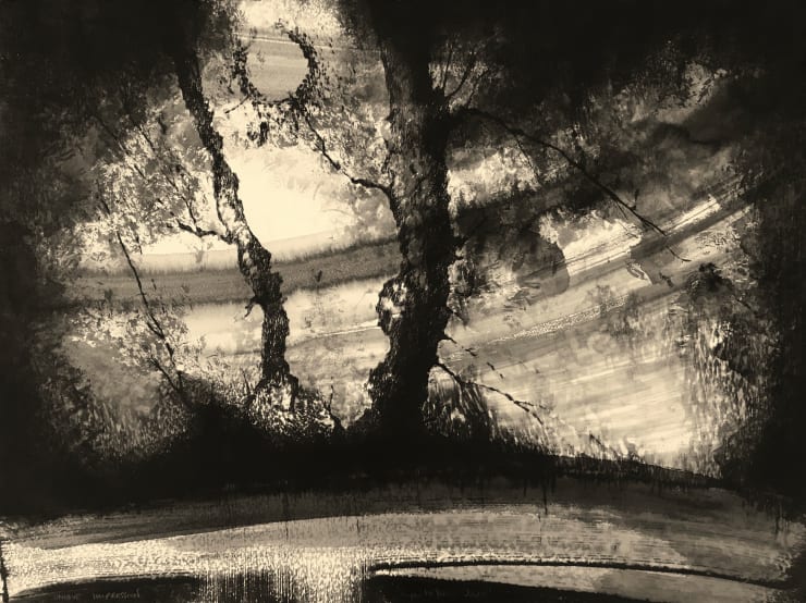 Edward Twohig Super Moon 42.iii, 2020