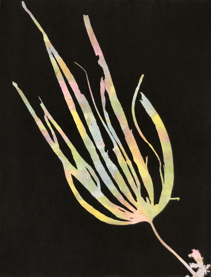 Fiona Fouhy, Oar Weed, 2019