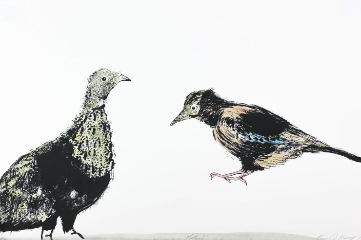 Niamh Clancy, Mates?, 2025