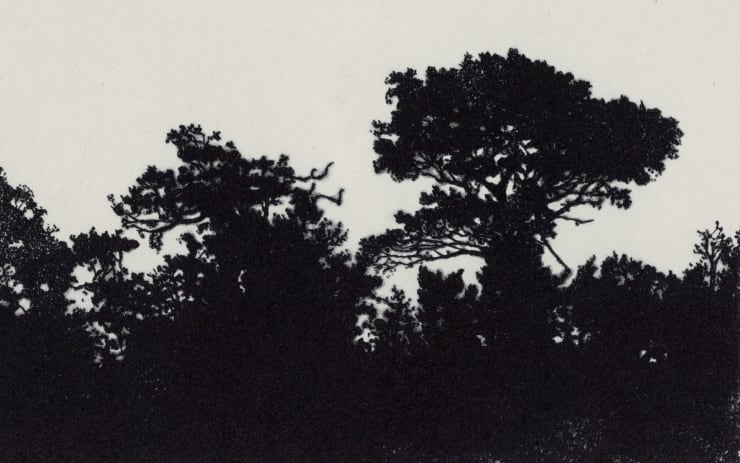 Blaze Cyan, Dartmoor, 2023