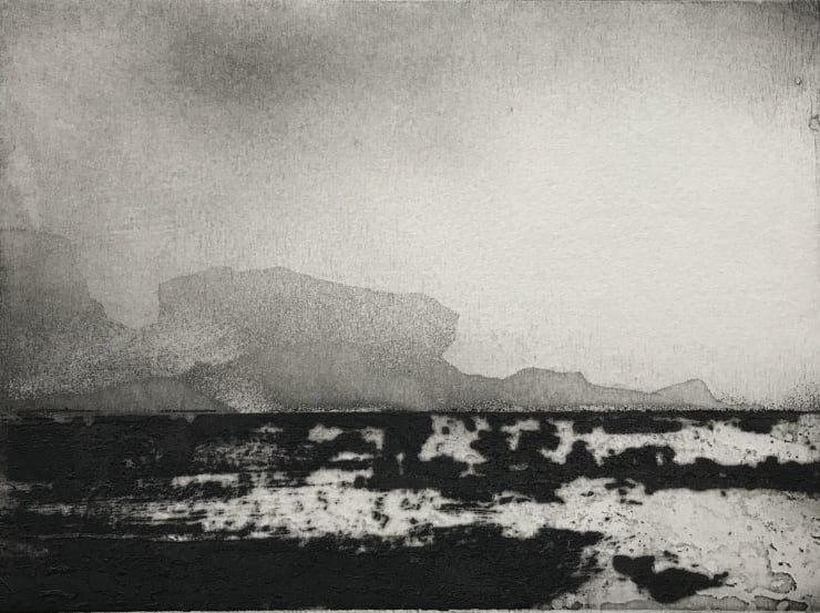 Jason Hicklin, West Tump Grassholm Island, 2020