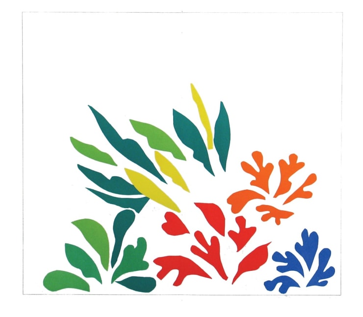 Henri Matisse, Acanthes, 1954